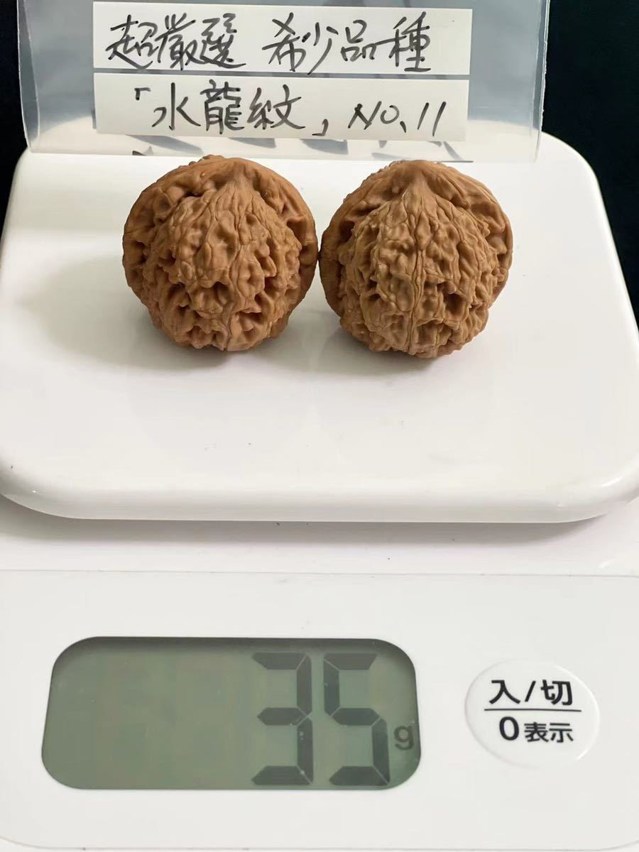 遊び胡桃 希少品種 超厳選水龍紋No.11 くるみ 趣味健康グッズ