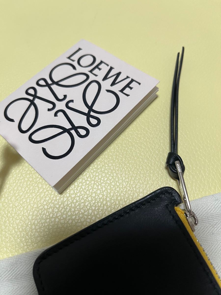 LOEWE ロエベ コインケース レインボー ceratinxd.com