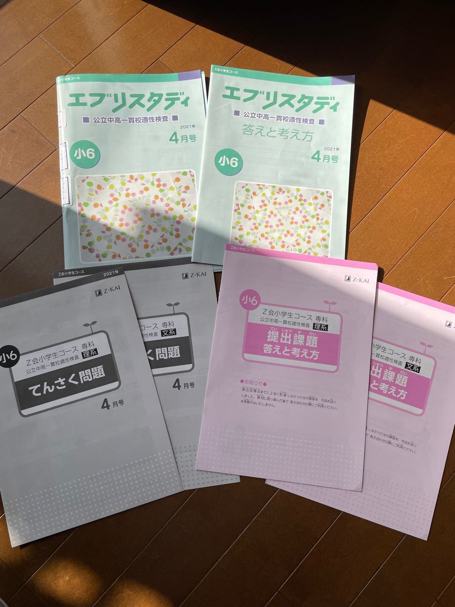 エブリスタディ 公立中高一貫校適性検査 holdmeback.com