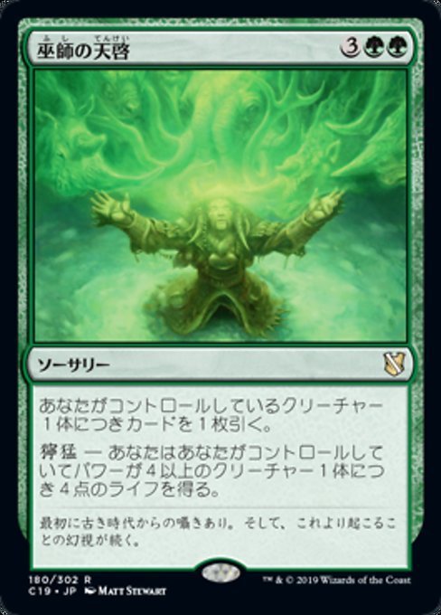 MTG ■緑/日本語版■ 《巫師の天啓/Shamanic Revelation》統率者2019 C19_画像1