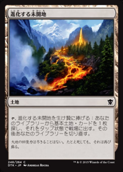 MTG ■土地/日本語版■《進化する未開地/Evolving Wilds》★FOIL★ タルキール龍紀伝 DTK_画像1