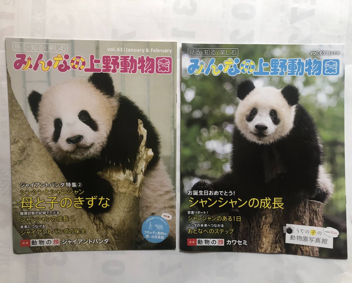 実写シャンシャン7点セット他 上野動物園パンダ公式グッズ 実写シャンシャン7点セット他 上野動物園パンダ公式グッズ