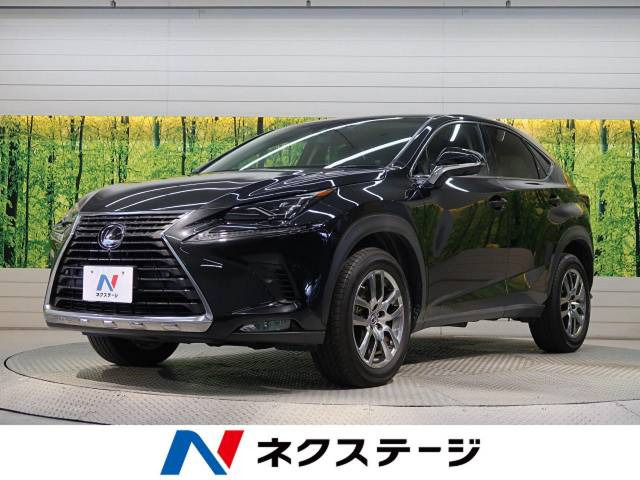 「平成31年 NX300 300 バージョンL @車選びドットコム」の画像1