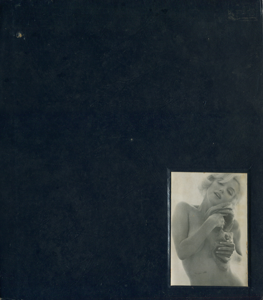 大切な d) Marilyn - a biography by Norman Mailer アート写真