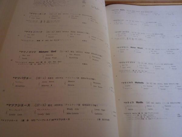 サラブレッド　血統大系　日本　1981年発行　　送料無料 管ta　　22FEB_画像3
