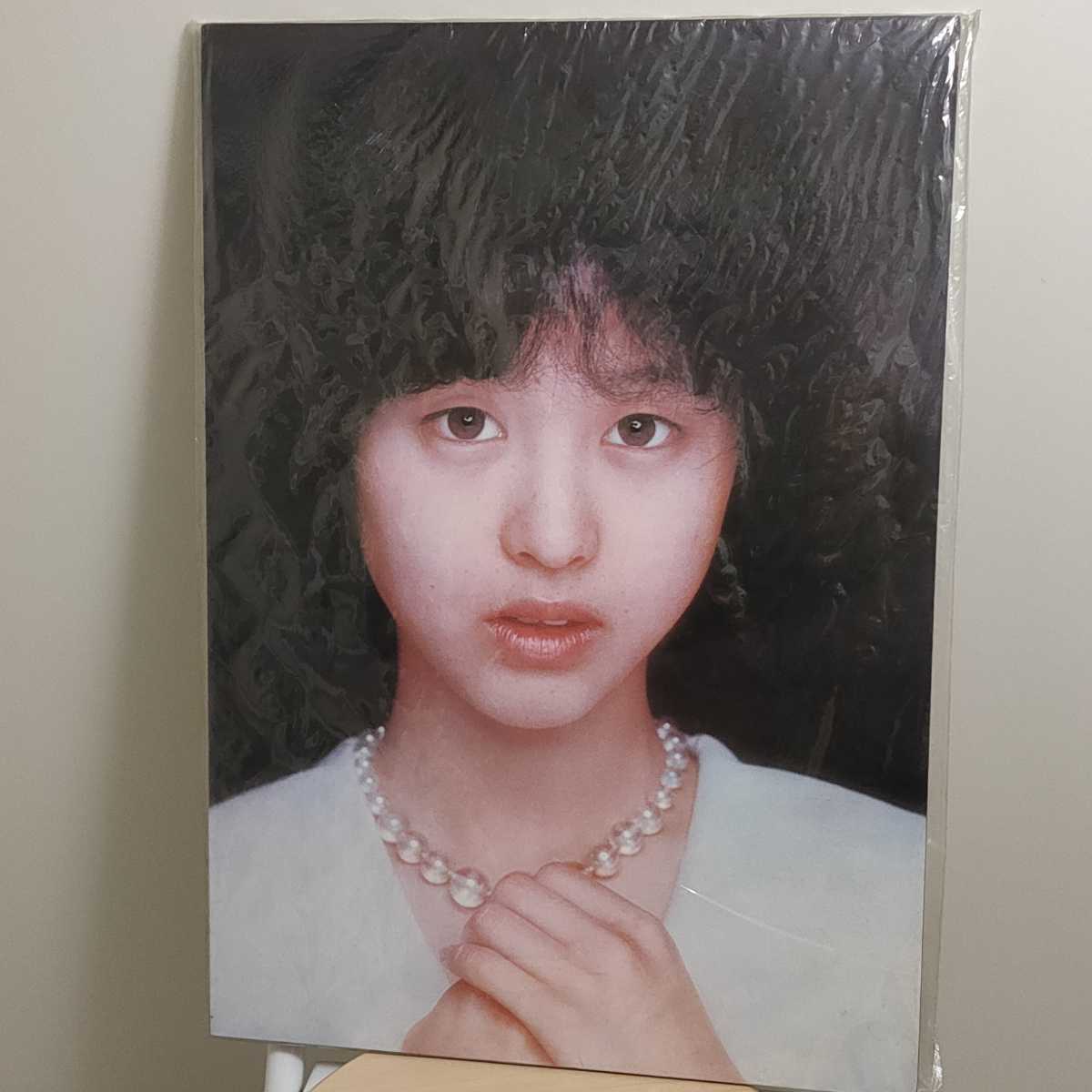松田聖子 ポスター・パネル 木製 www.falconofs.com