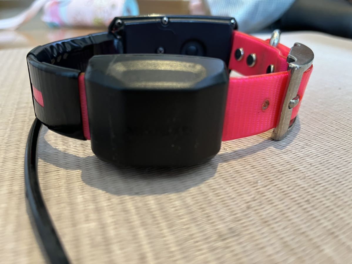 訳あり garmin ガーミン dc50 (ガーミンアストロ320 garmin astro