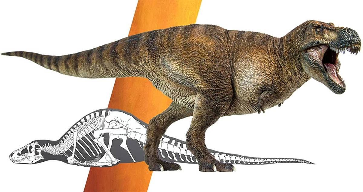 新品本物 恐竜好き 模型 おもちゃ フィギュア リアル 恐竜 T-REX ティラノサウルス サイズ 1/35 恐竜博物館 PNSO 誕生日 オリジナル プレゼント その他