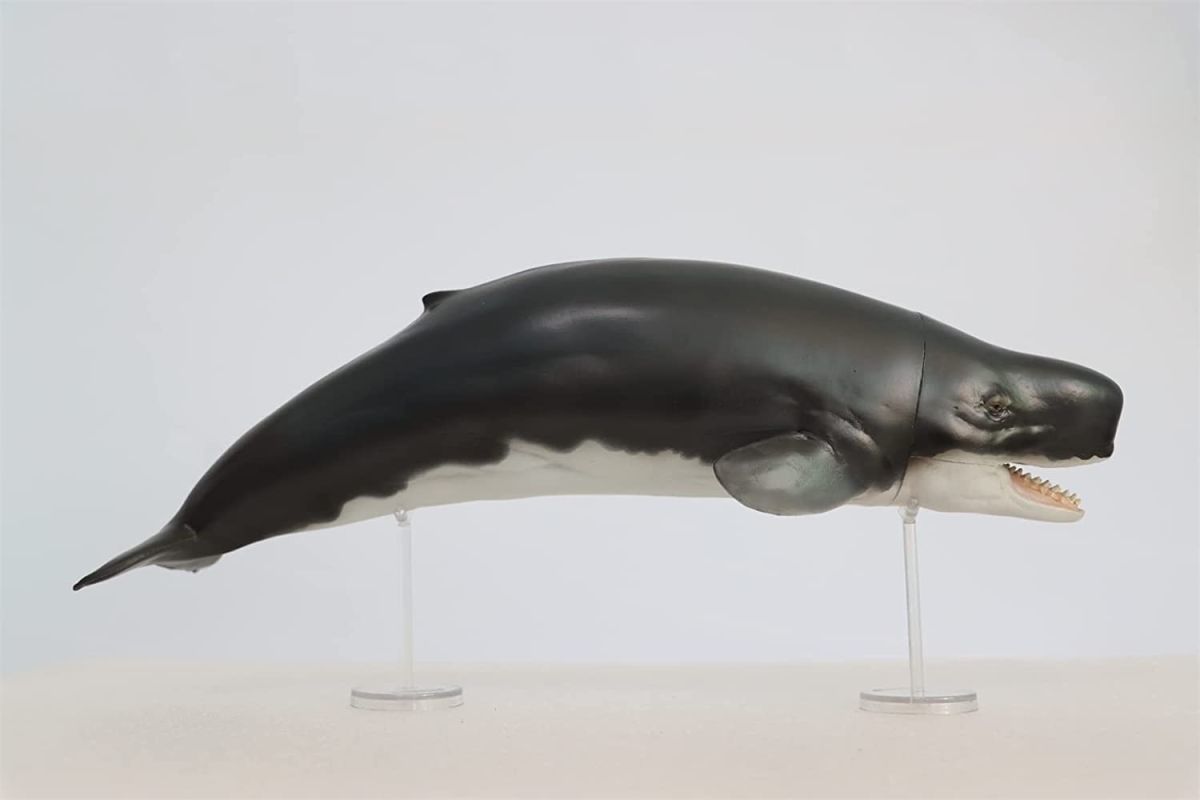 PNSO リヴィアタン・メルビレイ リビアタン マッコウクジラ科 海洋動物 リアル フィギュア おもちゃ 模型 誕生日 プレゼント中身中空_画像1