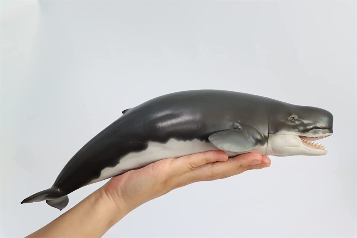 PNSO リヴィアタン・メルビレイ リビアタン マッコウクジラ科 海洋動物 リアル フィギュア おもちゃ 模型 誕生日 プレゼント中身中空_画像2