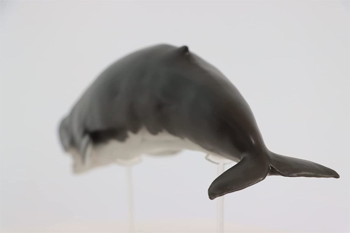 PNSO リヴィアタン・メルビレイ リビアタン マッコウクジラ科 海洋動物 リアル フィギュア おもちゃ 模型 誕生日 プレゼント中身中空_画像3