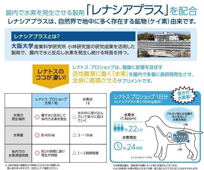 水素サプリメント 全猫用】レナトス プロショップ 全猫用 30 水素サプリメント 全猫用】レナトス プロショップ 全猫用 30