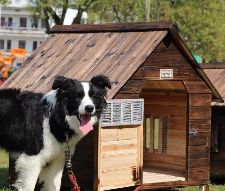 品質保証 外飼い屋外ハウス お庭用 天然木木製 犬小屋 ペットハウス 