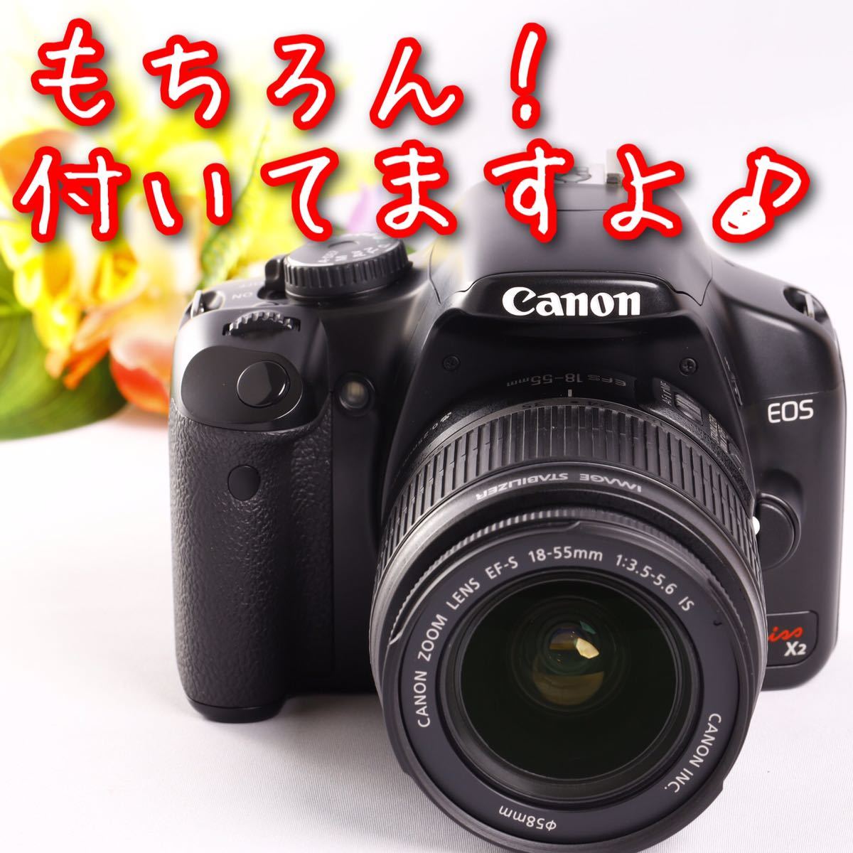 送料無料(一部地域を除く)】 ♥️初心者オススメ♥️カンタン操作