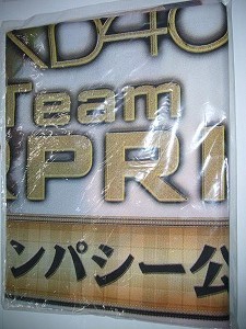 送料無料　AKB48 　チームサプライズ　デッサン　のぼり　ＰＯＰ　高橋みなみ・指原莉乃_画像1