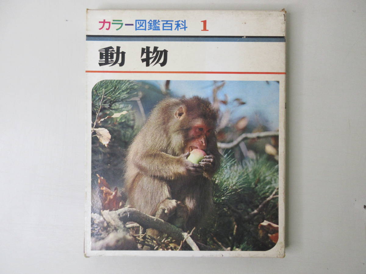 Yahoo!オークション - カラー図鑑百科 1 動物 世界文化社 昭和42 Yahoo!オークション - カラー図鑑百科 1 動物 世界文化社 昭和42