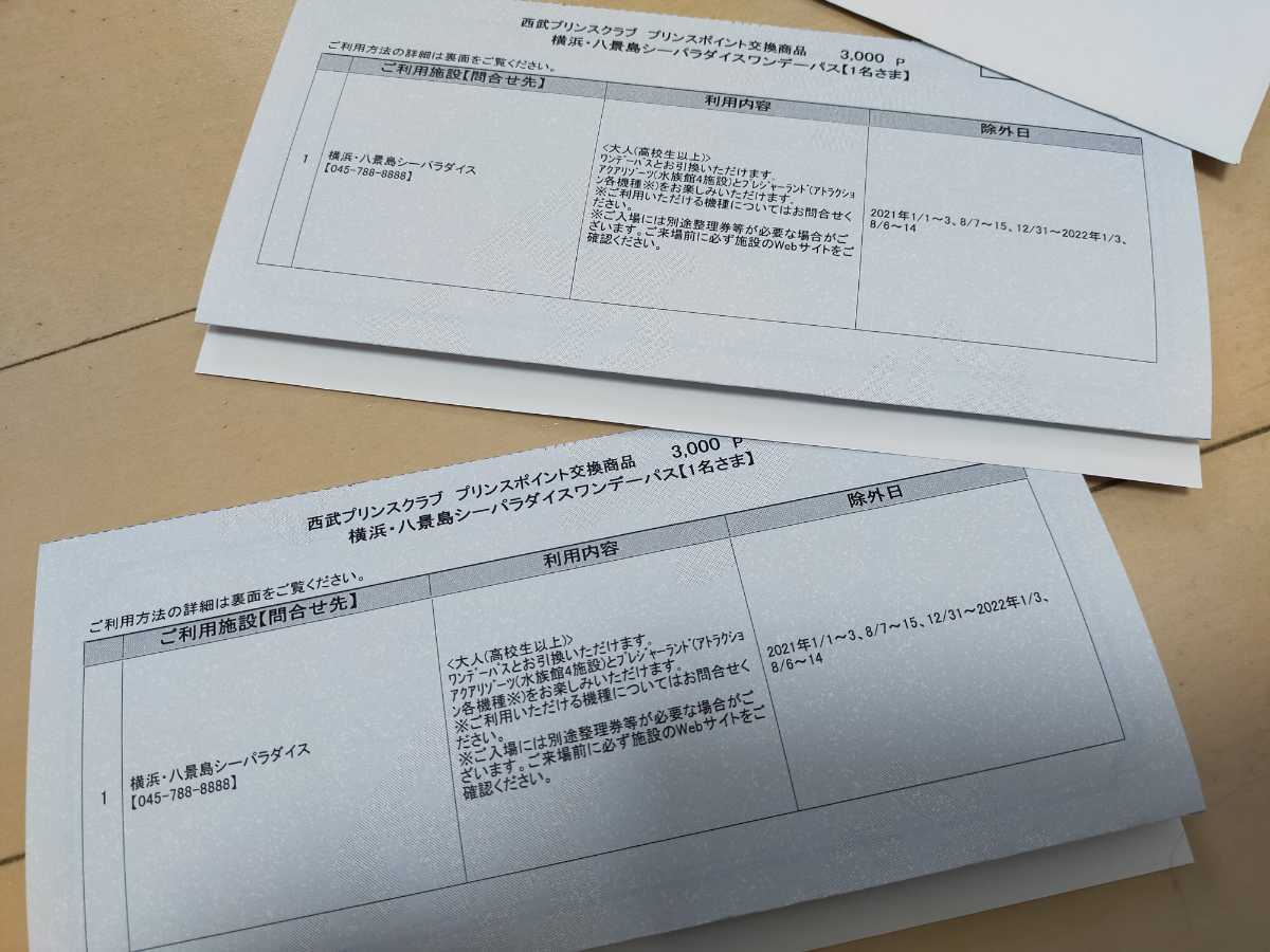 八景島シーパラダイス 大人2枚 ワンデーパス 2023年2月17日まで有効 格安