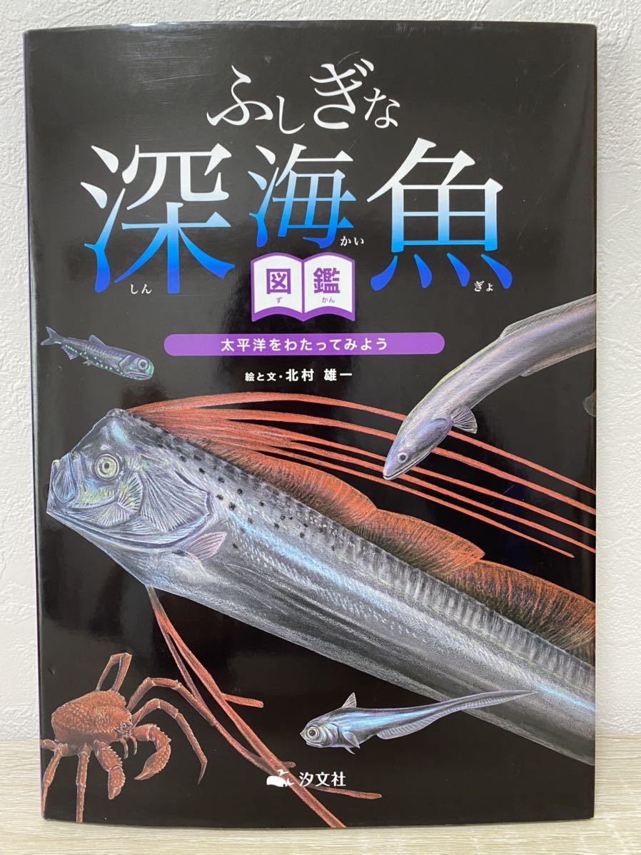 ふしぎな深海魚図鑑　太平洋をわたってみよう　北村雄一　絵本　児童書