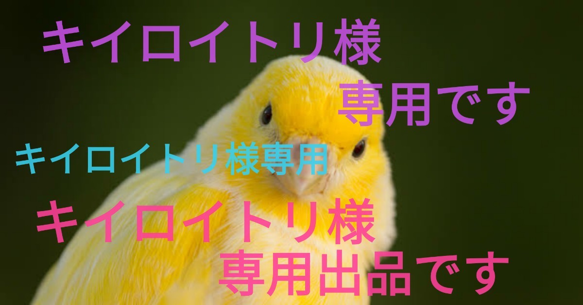 2021年最新海外 きいろいトリ様 専用です ienomat.com.br