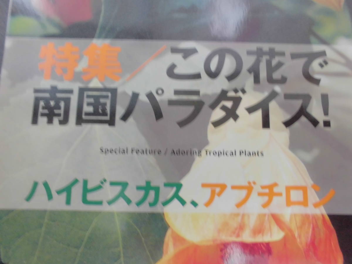 2014年7月　趣味の園芸　ローズレッスン・テラコッタ・ケイトウ・センニチコウ・ブルーベリー・ハイビスカス・アブチロン　ＮＨＫ出版_画像3