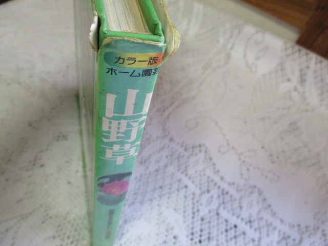 ☆カラー版　ホーム園芸　山野草　田代道彌　主婦と生活社　昭和53年☆_画像2