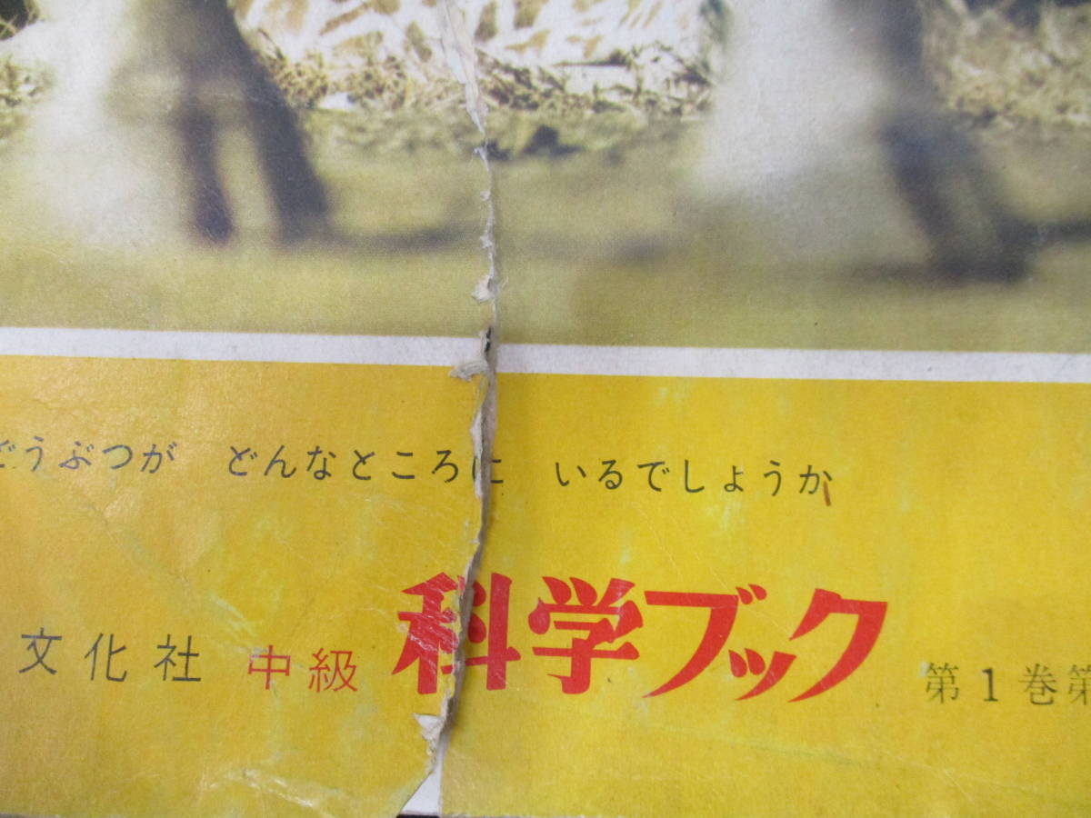 e6-5 [科学ブック 中級] 1～20＋別冊 計21冊セット 昭和36年～36年 どうぶつのかんさつ 花のかんさつ_画像7