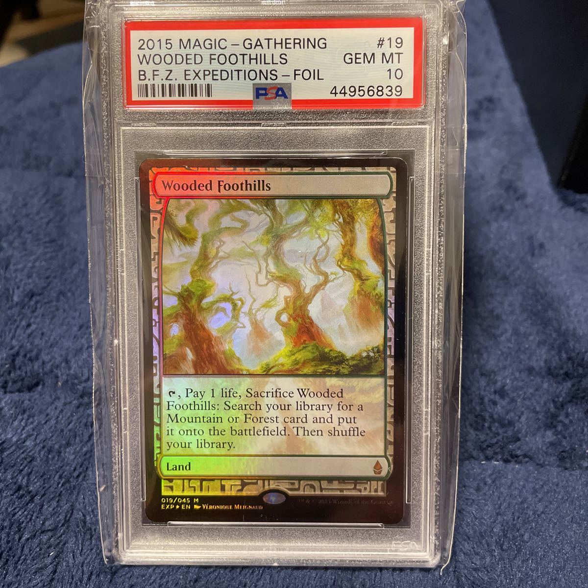 MTG EXP 樹木茂る山麓　foil PSA10 鑑定品_画像1