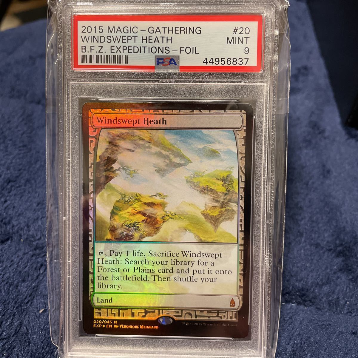 MTG EXP 吹きさらしの荒野　foil PSA9 鑑定品_画像1