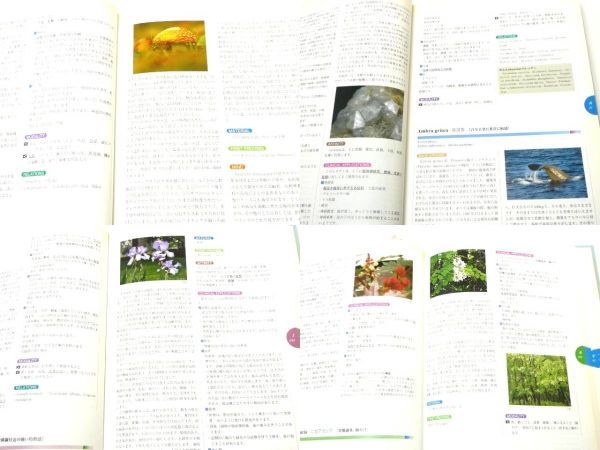 臨床家のためのホメオパシー マテリアメディカ 森井 啓二 エンタ 臨床家のためのホメオパシー マテリアメディカ 森井 啓二 エンタ