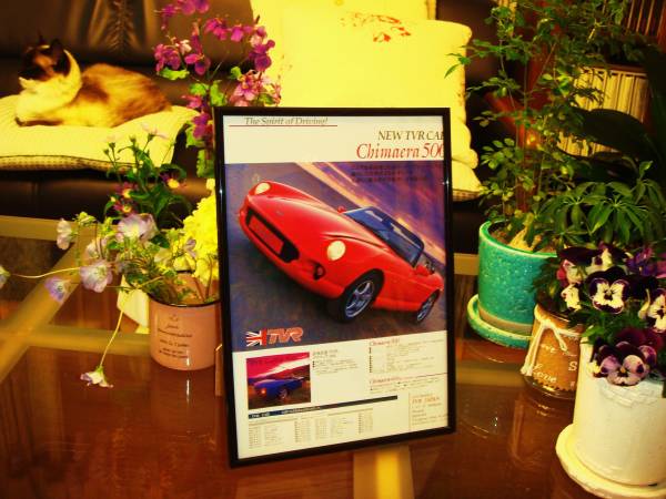 *TVR Chimaera * that time thing *. advertisement / frame goods *A4 amount **No.0578* inspection : catalog poster manner * used old car * custom parts * minicar *