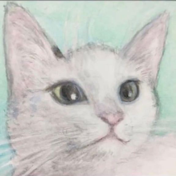 手描き イラスト 猫のゆきちゃん 水彩画　原画 ATC 【あおきしずか】手描きイラスト _画像1