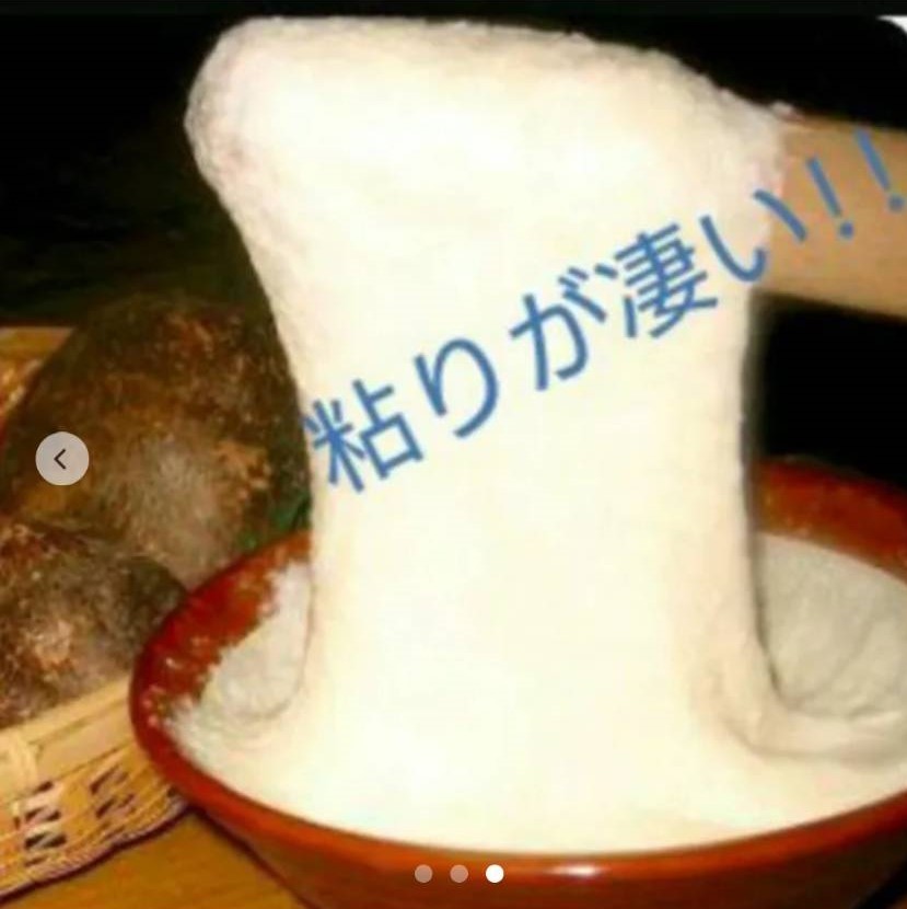  nationwide free shipping huge sphere Hokkaido production ... corm 1 piece mountain yam clean pure-white premium Father's day gift 