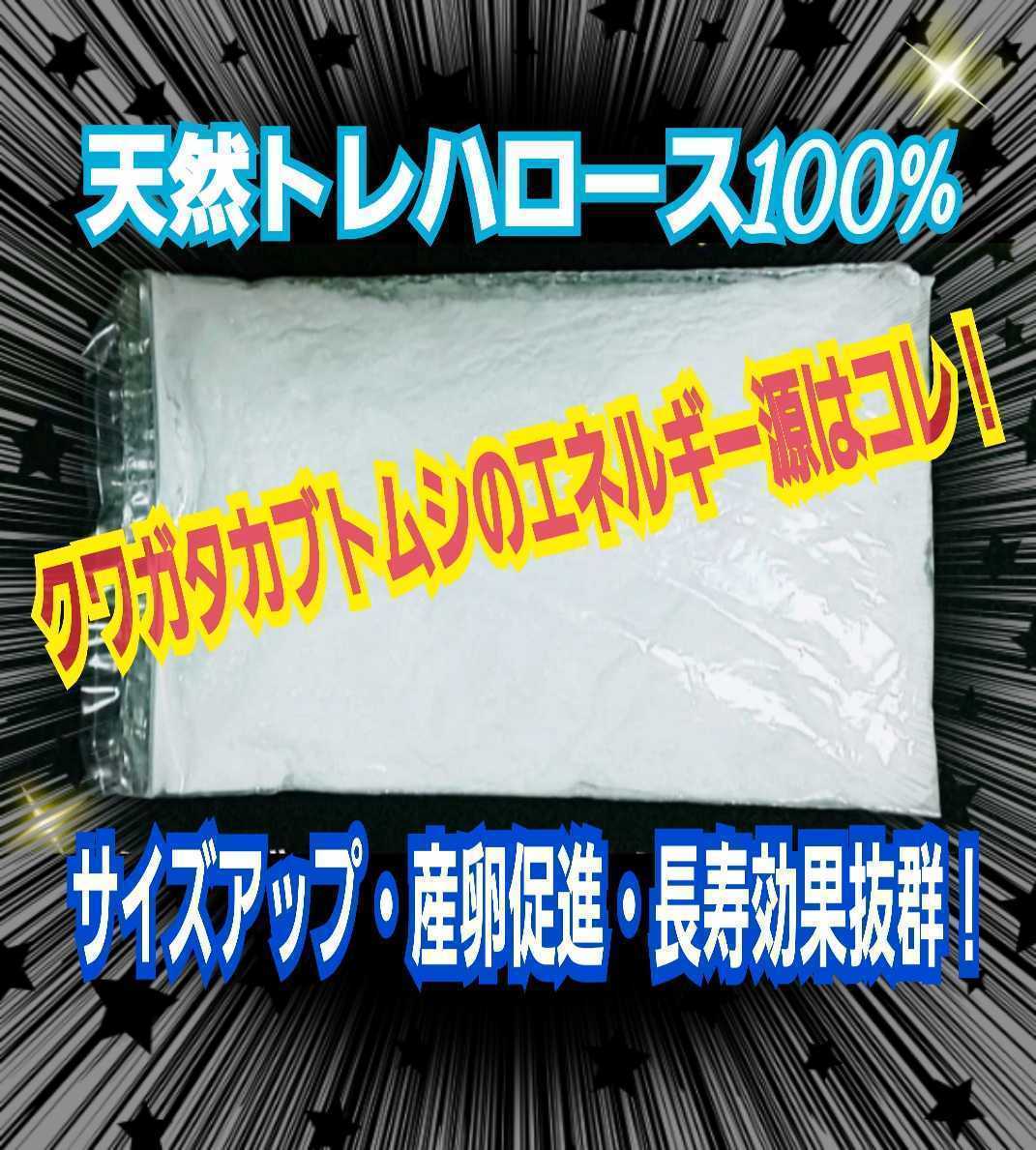 サイズアップ、産卵数アップ、長寿効果抜群！クワガタ・カブトムシ専用栄養添加剤トレハロース粉末☆マットや菌糸・ゼリーに混ぜるだけ！_画像1