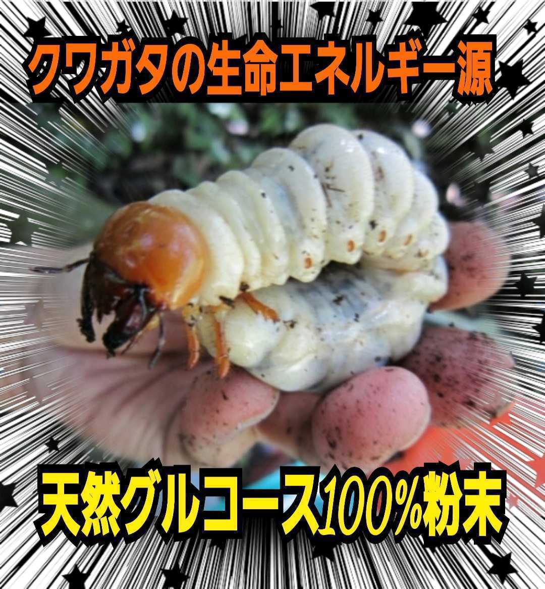 クワガタ・カブトムシ専用栄養添加剤☆グルコース　サイズアップ、産卵数アップ、長寿効果抜群！マットや菌糸・ゼリーに混ぜるだけです！_画像4