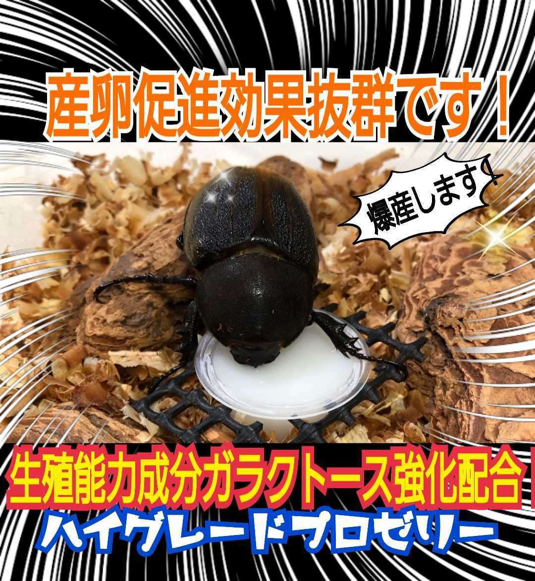 産卵促進に抜群！特選ハイグレードプロゼリー【200個】生殖能力の要になるガラクトース強化配合！長寿・体力増進にも抜群！昆虫ゼリー_画像1