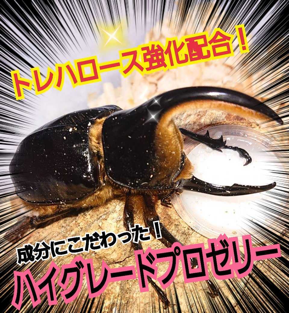 産卵促進に抜群！特選ハイグレードプロゼリー【200個】生殖能力の要になるガラクトース強化配合！長寿・体力増進にも抜群！昆虫ゼリー_画像7