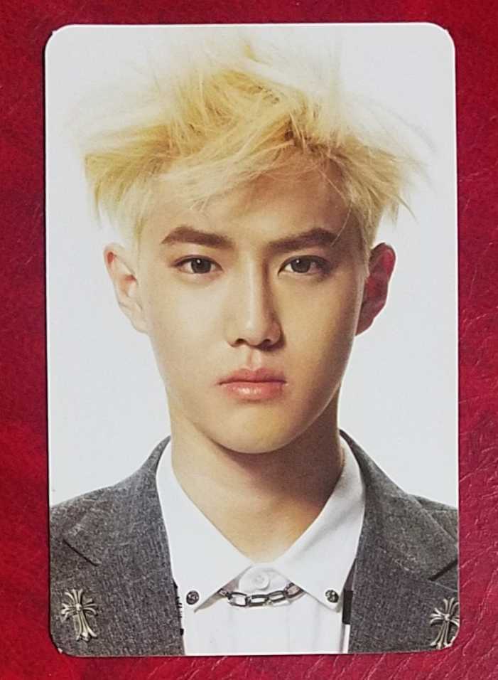 EXO スホ OVERDOSE トレカ 韓国盤 SUHO トレーディングカード エクソ EXO-K 中毒 チュンドク フォトカード_画像1