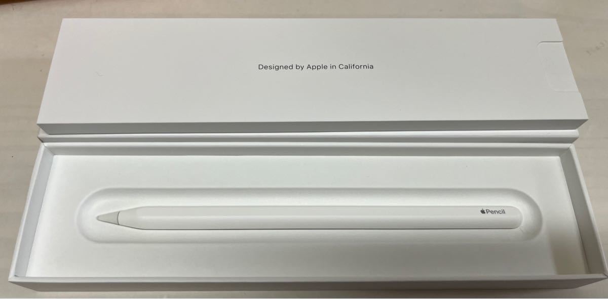 市販 APPLE PENCIL 第2世代 数回使用 asakusa.sub.jp