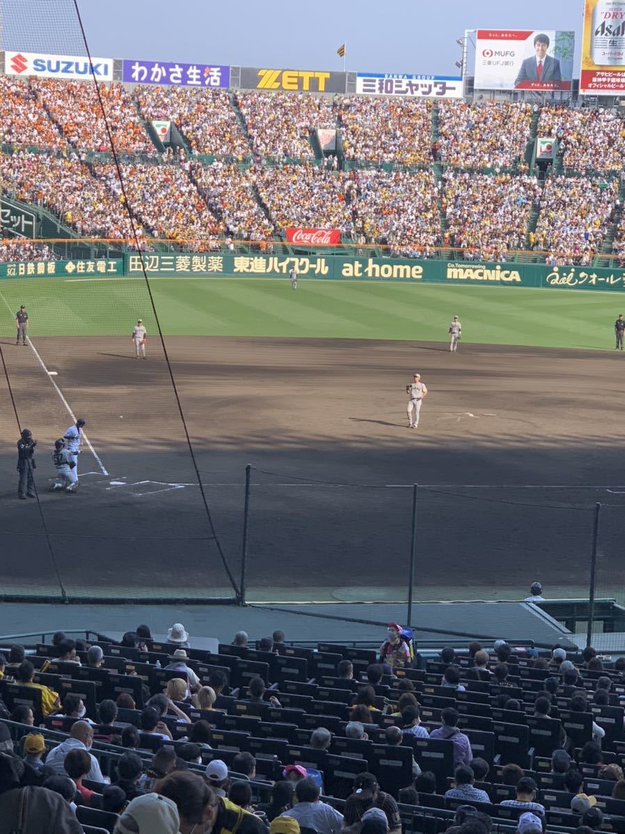 阪神 甲子園 グリーンシート 