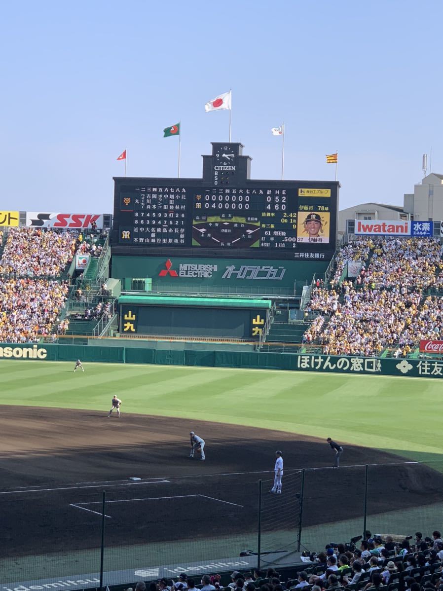 阪神 甲子園 グリーンシート 