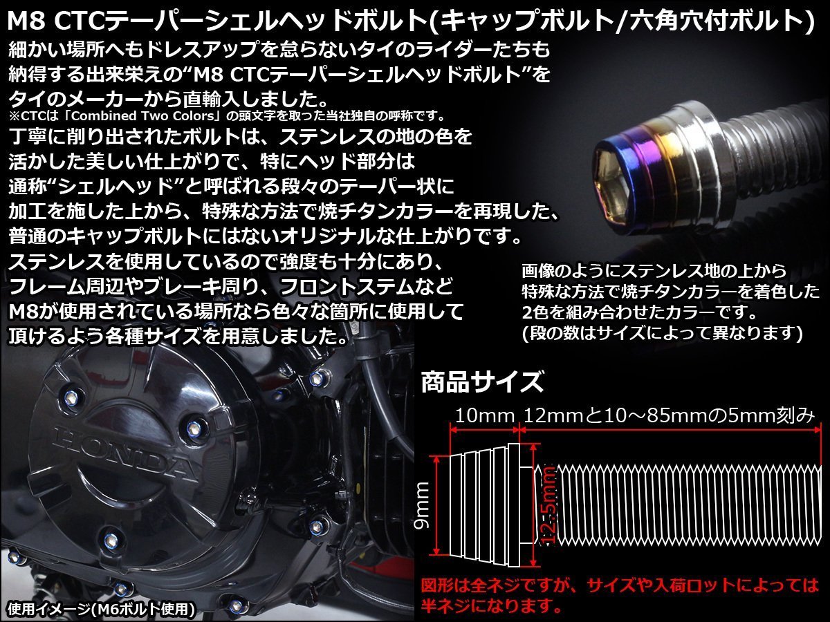 M8×15mm ステンレス 2色テーパーシェルヘッドボルト キャップボルト フレームやブレーキ周りに シルバー/焼チタンカラー TB0870_出品はM8×15mmのシルバー/焼チタンカラー