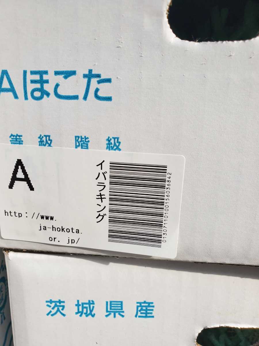 イバラキング8個10キロ(4個１箱×2)セット。美味しい青肉 茨城県産 メロン。☆_画像2