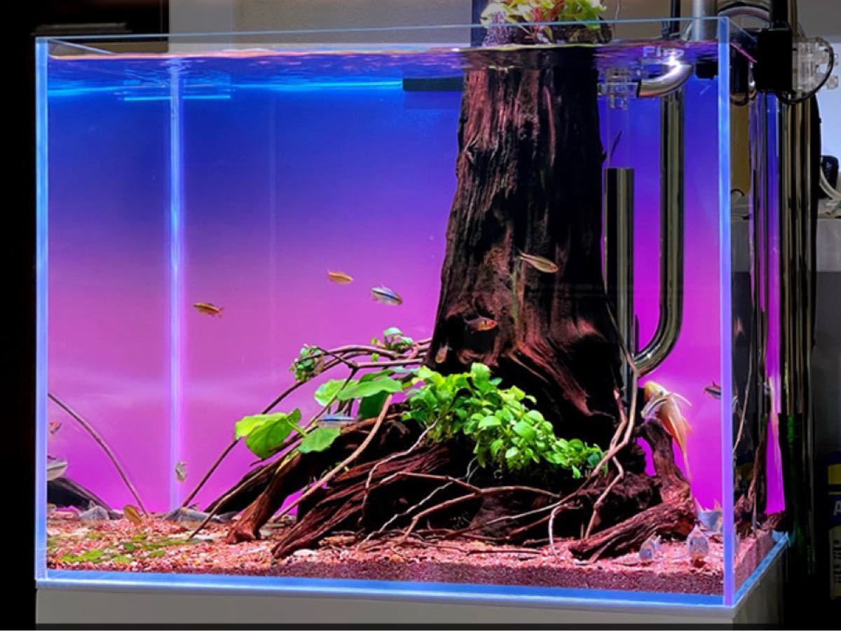 反物 浴衣 週末キャンペーン 水槽ライトスクリーン 45cm×30cm - 通販