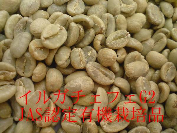 生豆 エチオピア産 イルガチェフェ G2 有機JAS 1kg 他銘柄もいろいろあり 　　　　　　　　　　　　　　　_イルガチェフェG2　JAS認定有機栽培品