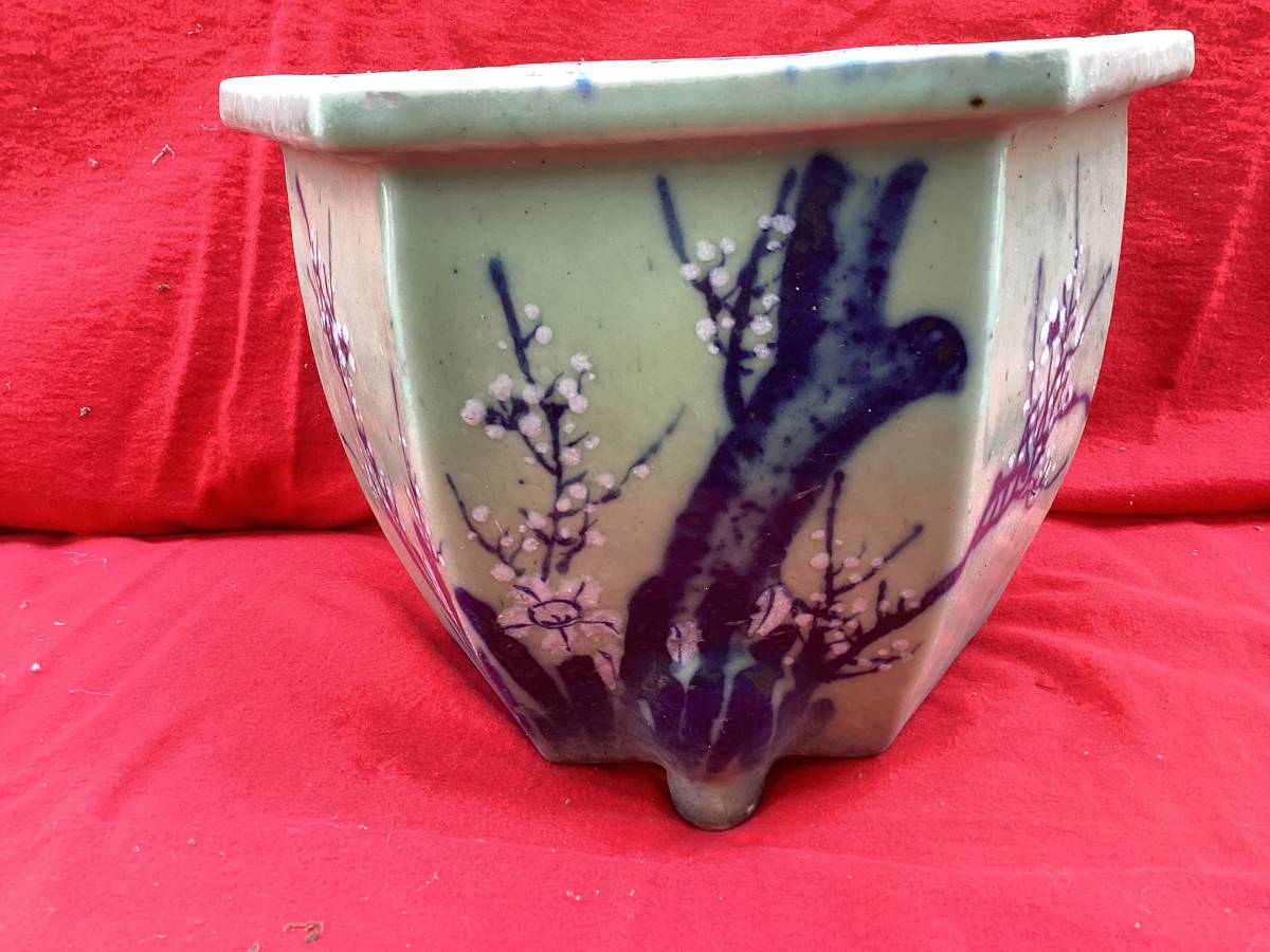 貴重品 支那鉢 | www.ddechuquisaca.gob.bo