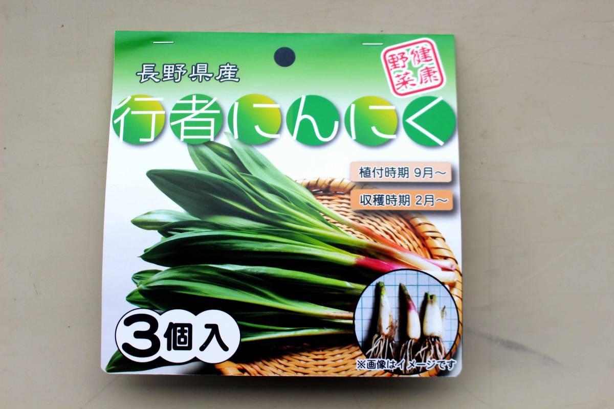 【送料込】【プランターで美味しく収穫】行者にんにく7年物太球根苗パッケージ3本【休眠打破処理済】_画像1