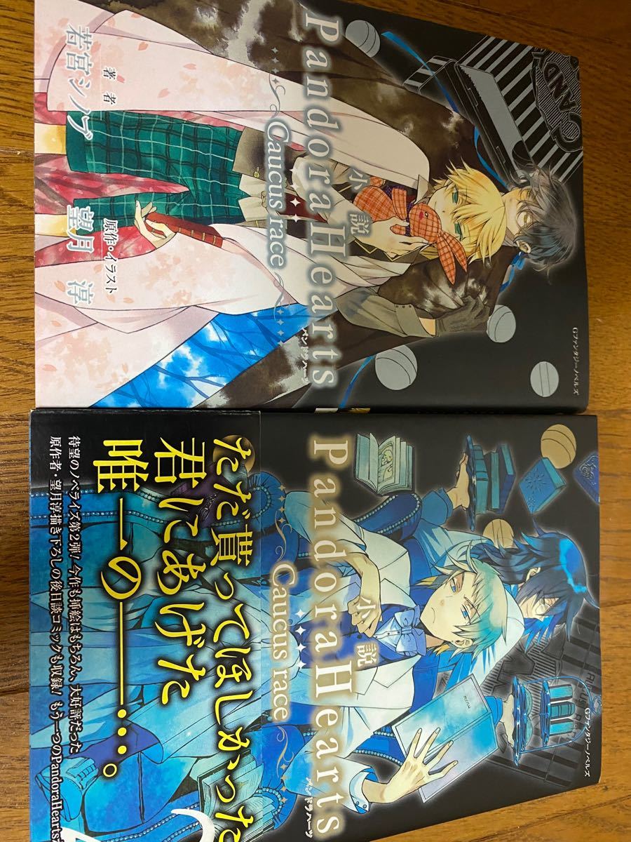2025年最新】pandorahearts 18.5の人気アイテム - メルカリ