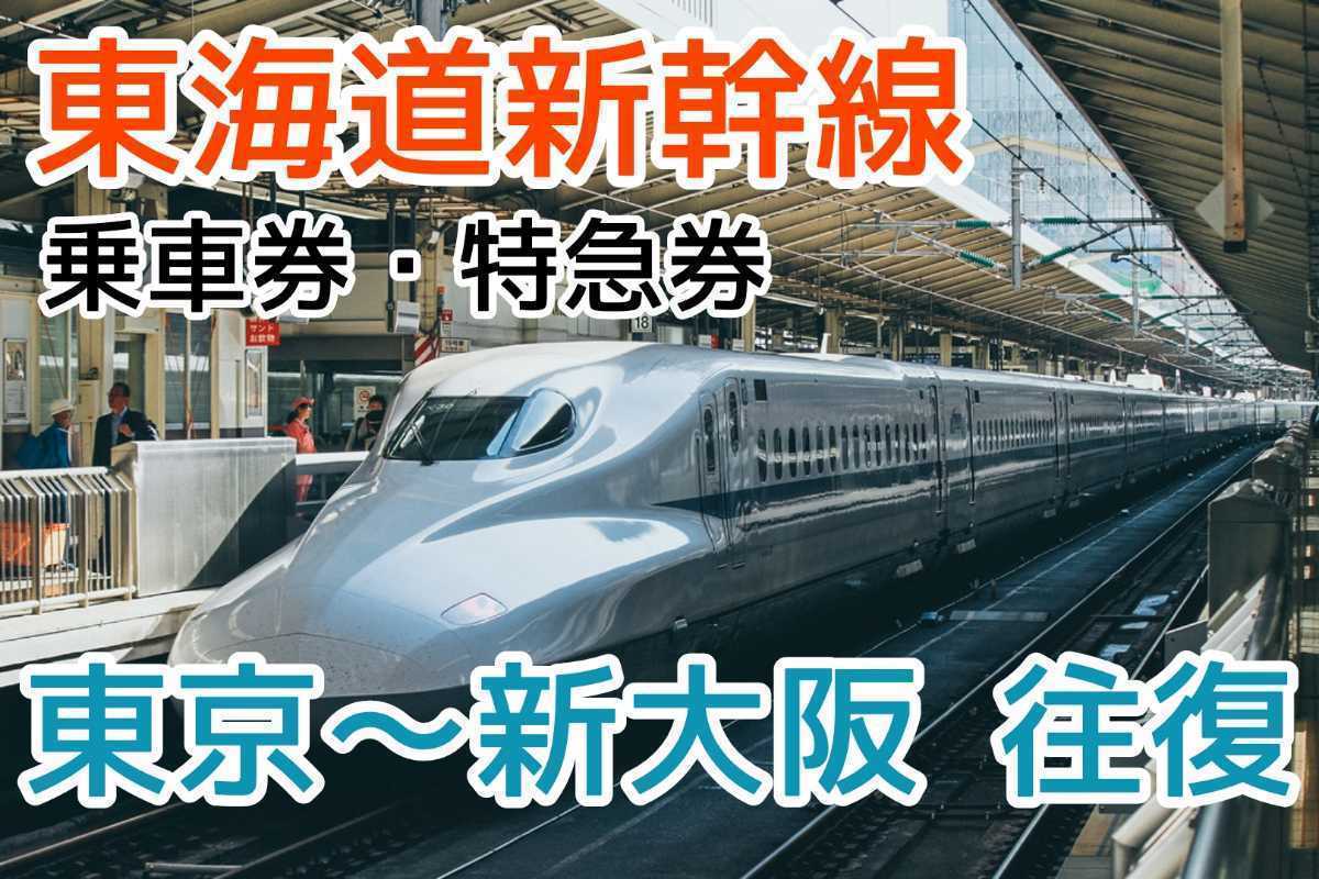 変更可 東海道新幹線 乗車券 自由席特急券 東京 新大阪往復(乗車券 
