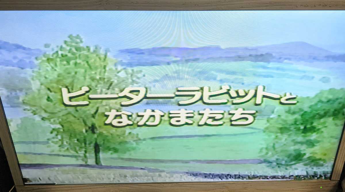  日・英ニか国語版★ピーターラビットとなかまたち「ひげのサムエルのおはなし」VHSビデオ【発売元：ポニーキャニオンフジテレビ】_画像2