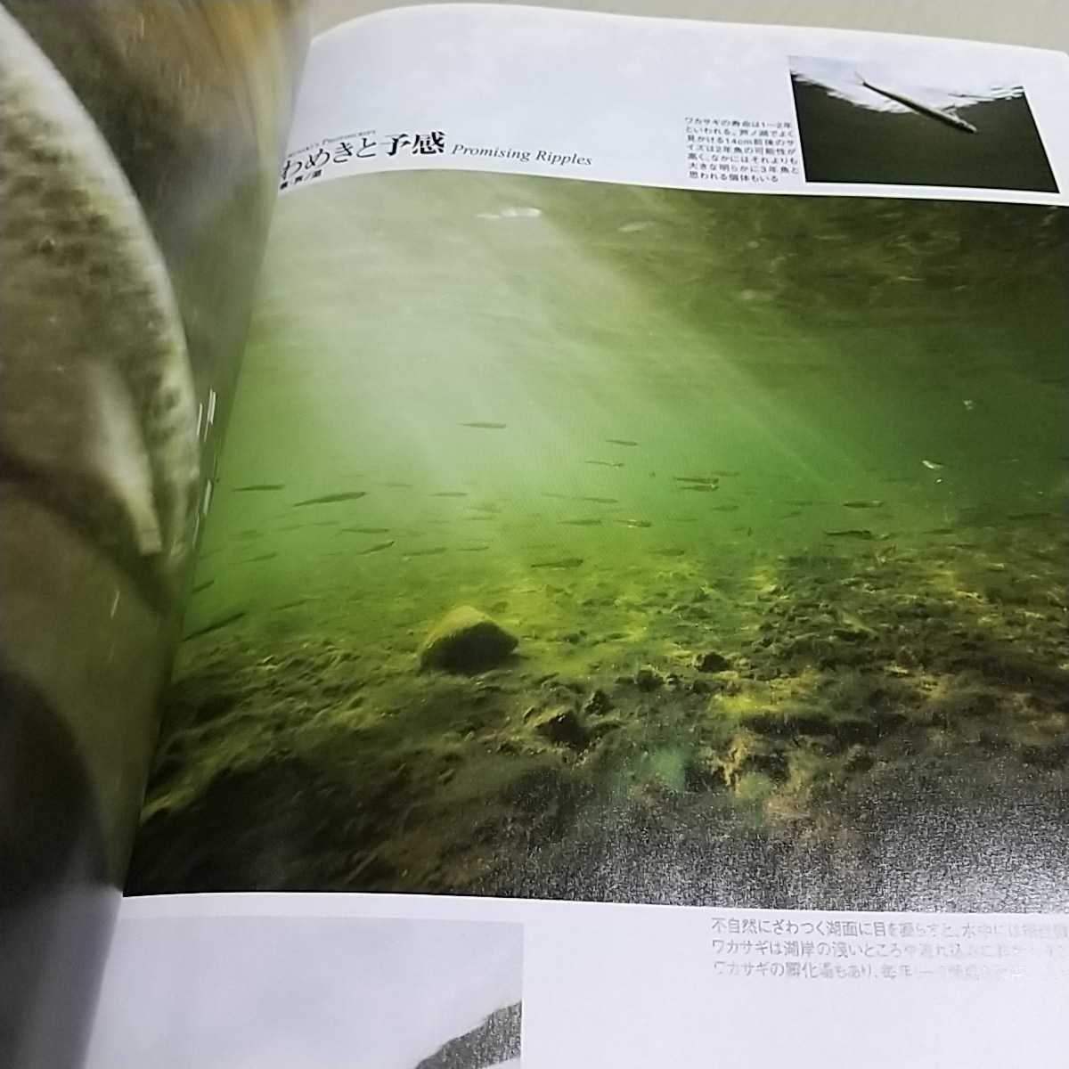 フライフィッシャー FlyFisher 2009年4月号 No.183 ※雑誌本体のみ(DVD付録等無) 雑誌 中古 Fly Fisher Flyfishing Magazine つり人社_画像4